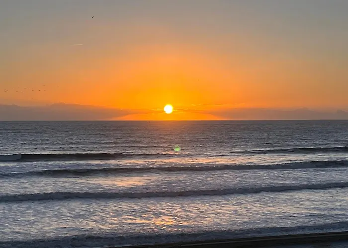 Magnifique Pour 4 Personnes Face A La アパート サン・ジル・クロワ・ド・ヴィ